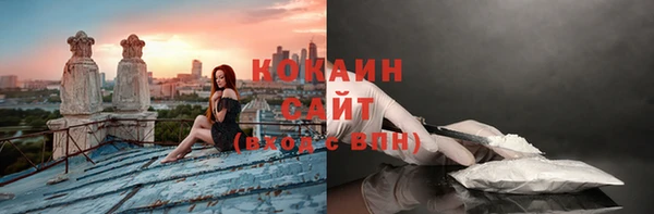 прущие грибы Алексеевка