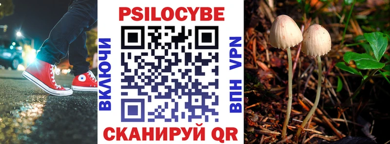 Псилоцибиновые грибы мицелий  Колпашево 
